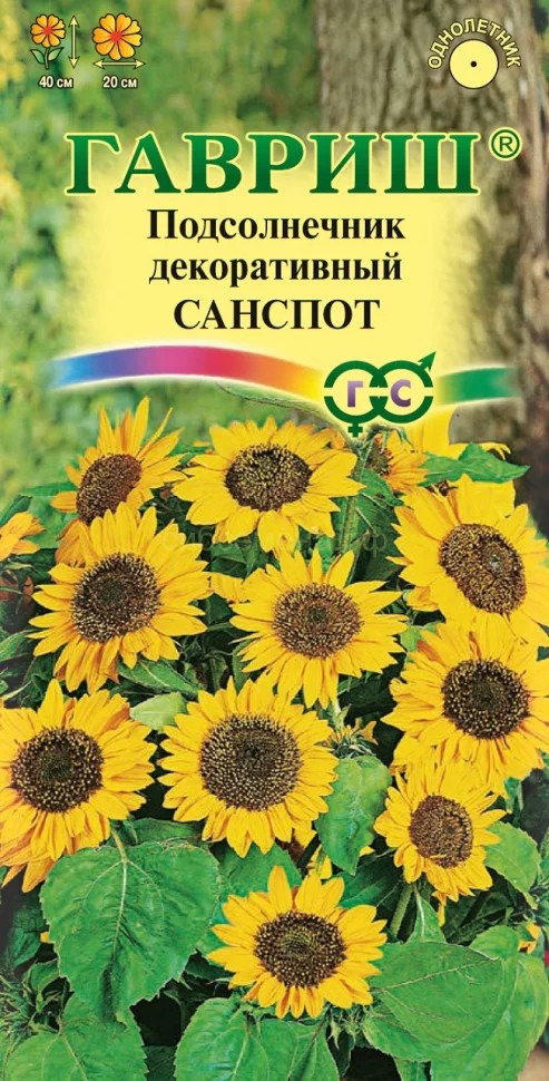 Купить семена декоративного подсолнечника курьером и почтой в интернет-магазине gkhyarovoe.ru